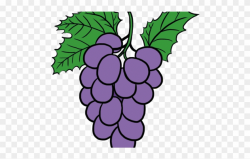 Grapes Clipart Pop Art - Transparent Grape - Png Download ...