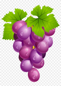 Grapes With Leaves Png Clipart Picture - Grapes Fruit Clip ...