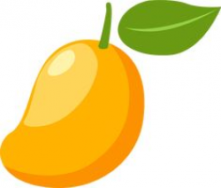 80 Best Mango PNG image & Mango Clipart images in 2019 ...