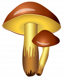 Mushrooms Transparent PNG Clipart Picture | Gallery Yopriceville ...