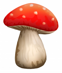 Poisonous Red Mushroom With White Dots PNG Clipart - Best WEB Clipart