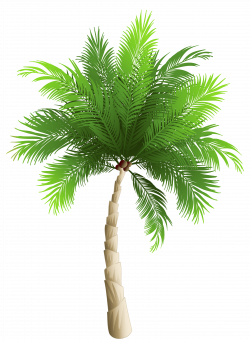 Palm Tree PNG Clipart Image | Gallery Yopriceville - High-Quality ...