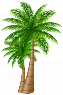 Palm Trees Large PNG Clip Art Image | Gallery Yopriceville - High ...