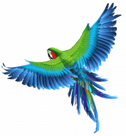 Transparent Parrot Clipart Picture | Gallery Yopriceville - High ...