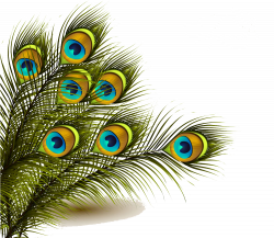 Peafowl Feather Clip art - Peacock feather background image 1000*870 ...