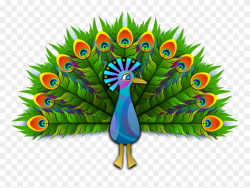 Peacock - Peacock Clipart Transparent Background - Png ...