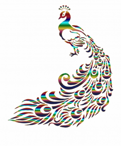 Peacock Clipart Png - Peacock Feather Stencil, Transparent ...