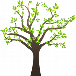 Tree PNG Images Quality Transparent Pictures | PNG Only