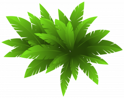 Green Plant Decoration PNG Clipart Image | Gallery Yopriceville ...