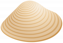 Sea Shell PNG Clip Art - Best WEB Clipart