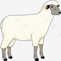 Sheep Clipart, Sheep Vector, Cartoon Vector, Sheep PNG and ...