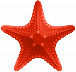 Starfish PNG Clip Art Image | Gallery Yopriceville - High ...