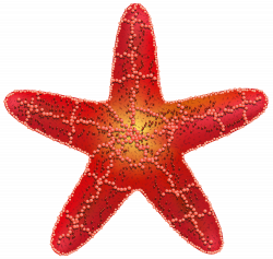 Red Starfish PNG Clip Art Image | Gallery Yopriceville - High ...