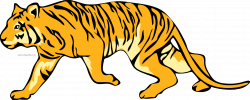 Walking Tiger Clipart Png - Clipartly.comClipartly.com