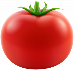 Red Tomato Transparent PNG Clip Art Image | Gallery Yopriceville ...