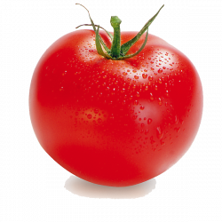 Tomato Clipart Hd - 16726 - TransparentPNG