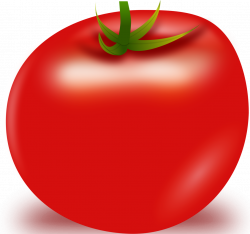 Tomato Single Clipart - 16737 - TransparentPNG