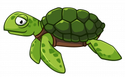 Pin by pngsector on Turtle PNG image and Clipart | Funny ...