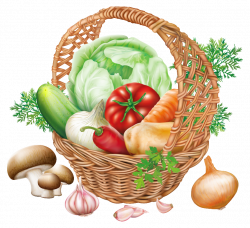 Basket with Vegetables PNG Clipart Image | Gallery Yopriceville ...