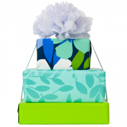 gift_wrap_1.png