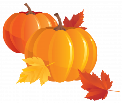 Pumpkins transparent PNG images - StickPNG