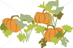 Pumpkin Patch with Foliage | Harvest Day Clipart