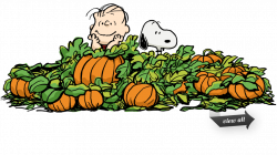 Charlie Brown Pumpkin Patch Clip Art | cyberuse