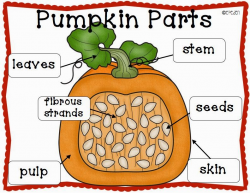 A Neighborhood Kindergarten : Pumpkin Patch CCSS Math ...