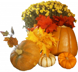 Free Thanksgiving Day PNG Images