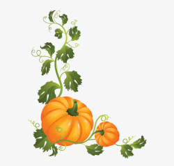 Discover Ideas About Pumpkin Vine - Pumpkin On A Vine ...