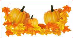 Incredible Transparent Thanksgiving Pumpkin Decor Clipart Png Fonts ...