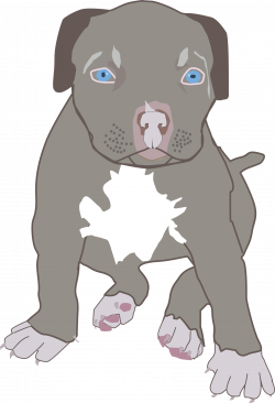 Clipart - Pit Bull Puppy