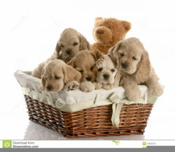 Clipart Puppies | Free Images at Clker.com - vector clip art ...