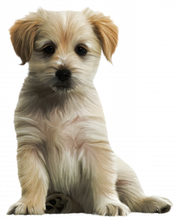 Cute Puppy PNG Clipart Image | Gallery Yopriceville - High-Quality ...
