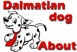 Dalmatian dog and dalmatian puppies from Dalmatia homeland