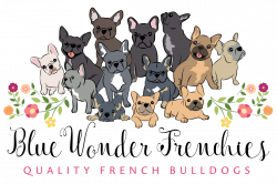 Our Frenchies