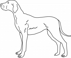 Dog Coloring Page - Free Clip Art