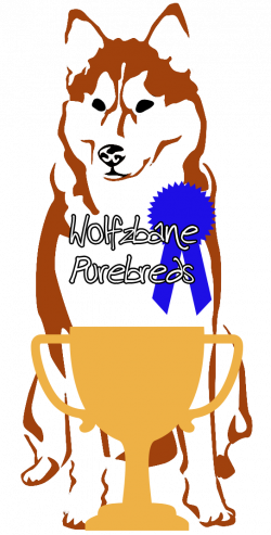 Wolfzbane - member profile on FooPets.com