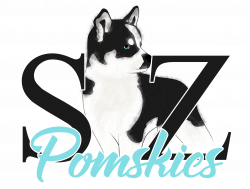 SZ Pomskies - Pomsky Owners Association Member