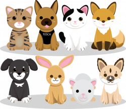 Shelter Pets: Plush Toys Based on Real Adopted Pets by Shelter Pets ...