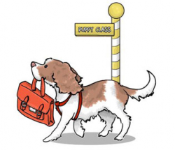 Loraimie Dog Walking & Pet Services