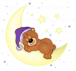 Bear Sleep Illustration - Sleeping bear 1000*939 transprent Png Free ...