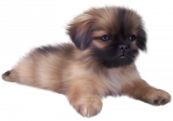 Painted Cute Puppy PNG Clipart | Gallery Yopriceville - High ...