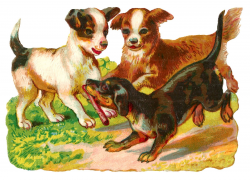 The Graphics Monarch: Free Antique Animal Clip Art Dog ...