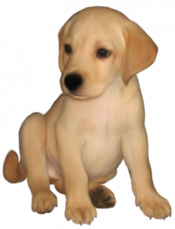 Painted Small Yellow Labrador Retriever PNG Picture | Gallery ...