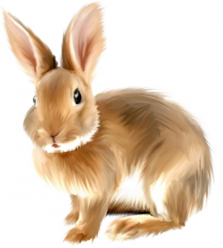 Bunny rabbit clipart free graphics of rabbits and bunnies ...