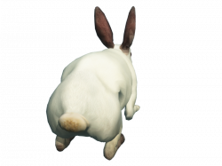 Free Download Of Rabbit Icon Clipart #40339 - Free Icons and PNG ...