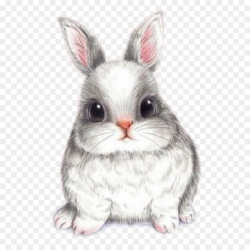 Easter Bunny Background clipart - Drawing, Rabbit ...