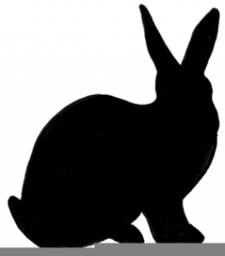 Free Dutch Rabbit Clipart | Free Images at Clker.com ...