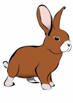 Public Domain Clip Art Image | Brown Rabbit | ID: 13953948019519 ...